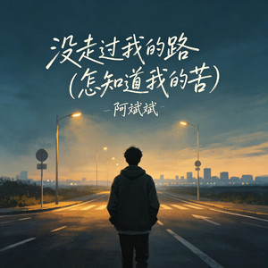 没走过我的路（怎知道我的苦） by 阿斌斌