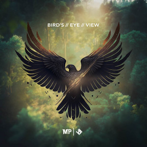 Bird's Eye View by Matthew Parker, Jacob Stanifer