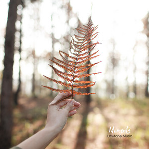 Moments by Lowtone Music