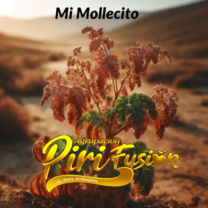 Agrupación Musical PiriFusión - Mi Mollecito