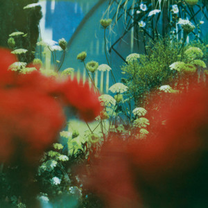 The Big What If by Pulled Apart By Horses