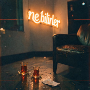 Ne bilirler by Ferov