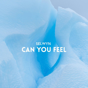 Can You Feel (Radio edit) by Selwyn