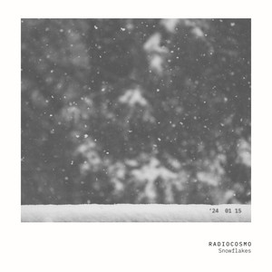 Snowflakes by Radiocosmo