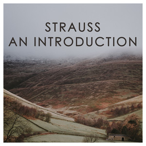J. Strauss II: An Introduction album