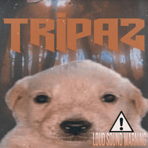 Tripaz - Poluição sonora