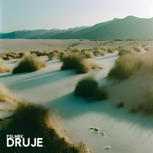 Pslmrk — Druje