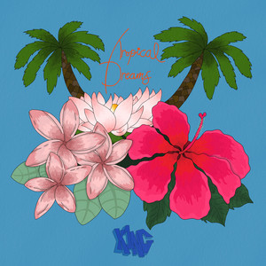 Tropical Dreams