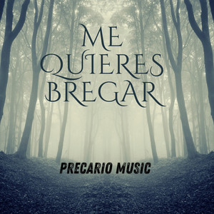 Me Quieres Bregar by Precario Music