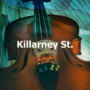 Irish Pub - song and lyrics by Instrumental Irish Music | Spotify