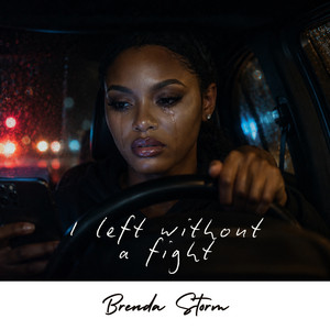 I Left Without A Fight by Brenda Storm