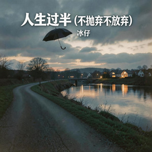 苑冰 - 人生过半 (不抛弃不放弃)