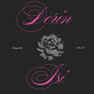 DERIN by REPLAY MIX