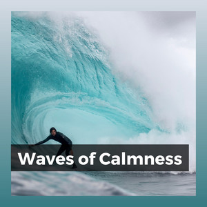 Waves of Calmness album