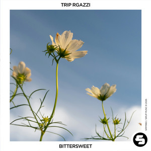 Bittersweet by TRIP RGAZZI