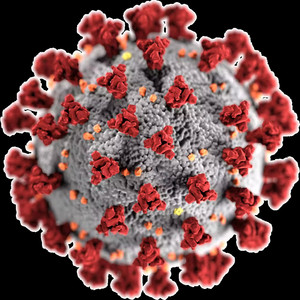 disease