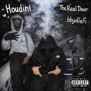 Houdini by bbydiefi, C4