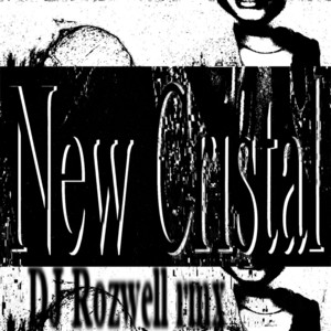 New Cristal (DJ Rozwell Remix) by Glad I Didn't Get My Stupid Wish, DJ Rozwell