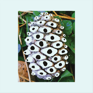 Fotosensible - Made in Japan (feat. Emiliano Rodríguez)