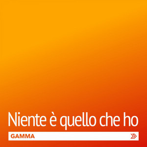 Niente è quello che ho