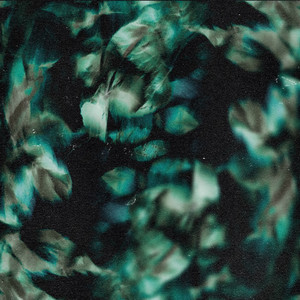 Pine Echoes by Sonant
