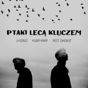 Ptaki lecą kluczem