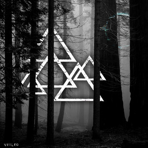 veiled by Huck.Jorris