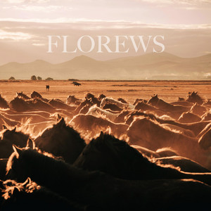 Dynamic Run by Florews