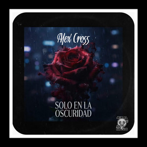 Solo En La Oscuridad by Alex Cross