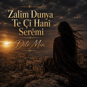 Zalım Dunya Te Çi Hanî Serêmi by Dilê Min