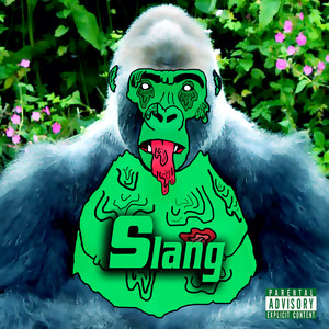 Slang by Flex for D7, Thee Kiid