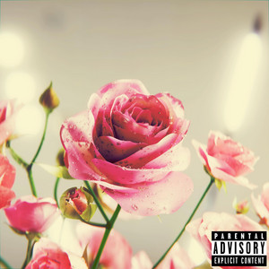 Favorite by Lipstick Music
