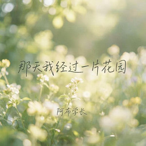 那天我经过一片花园｜ R&B热歌版抖音歌｜完整版 by 万贤佳
