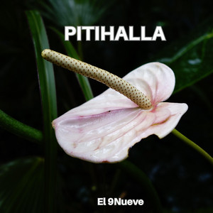 PITIHALLA by El 9Nueve