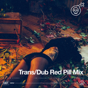 TRANS/DUB - Red Pill - Radio Edit by Dbreathe