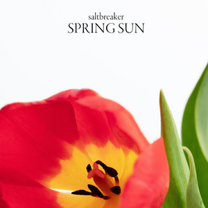 Spring Sun by Saltbreaker