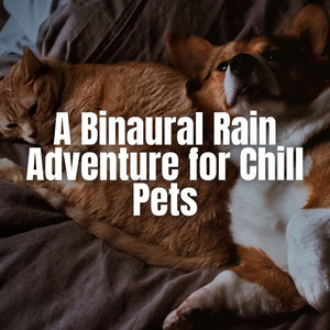 A Binaural Rain Adventure for Chill Pets album