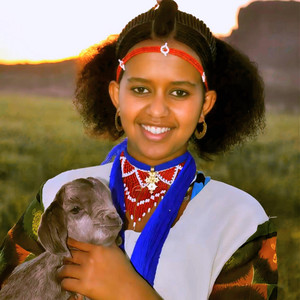 HTMONA - Ashemunana Berhane Weldu