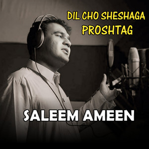 Saleem Ameen - DIL CHO SHESHAGA PROSHTAG