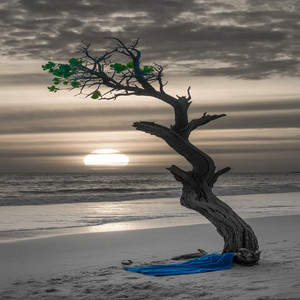Forever And Ever - Single by Brinkmant | Spotify
