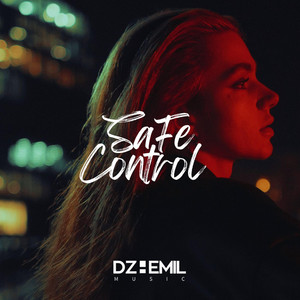 Safe Control by DzhemIL