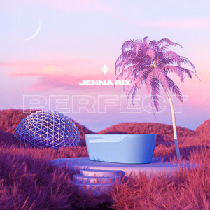 Perfect by Jenna Rix