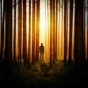 The Best Rain Sounds for Peace and Calm album