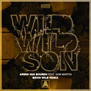 Wild Wild Son (feat. Sam Martin) - Devin Wild Extended Remix by Armin van Buuren cover art