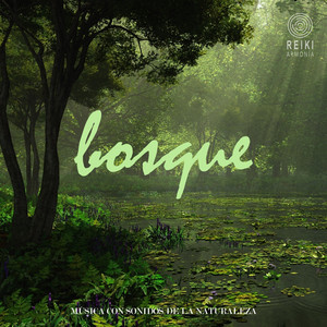 Música Con Sonidos de la Naturaleza: Bosque