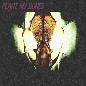 Starlight Flyer by Plant My Bones