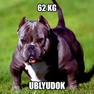 axia — 62 KG UBLYUDOK