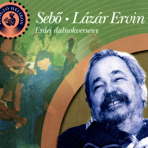 Osztályrészem by Sebő együttes