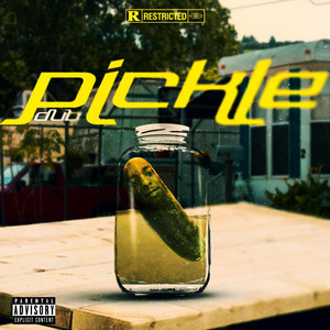 DuB - Pickle