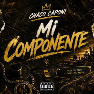 mi componente by Chaco Caponi